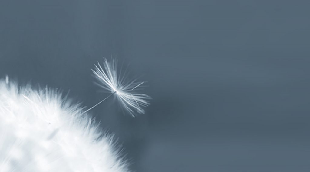 Bella Confex, Plaetor and La Blanche will be soon the first Albanian underwear brands in the Balkan region and Europe