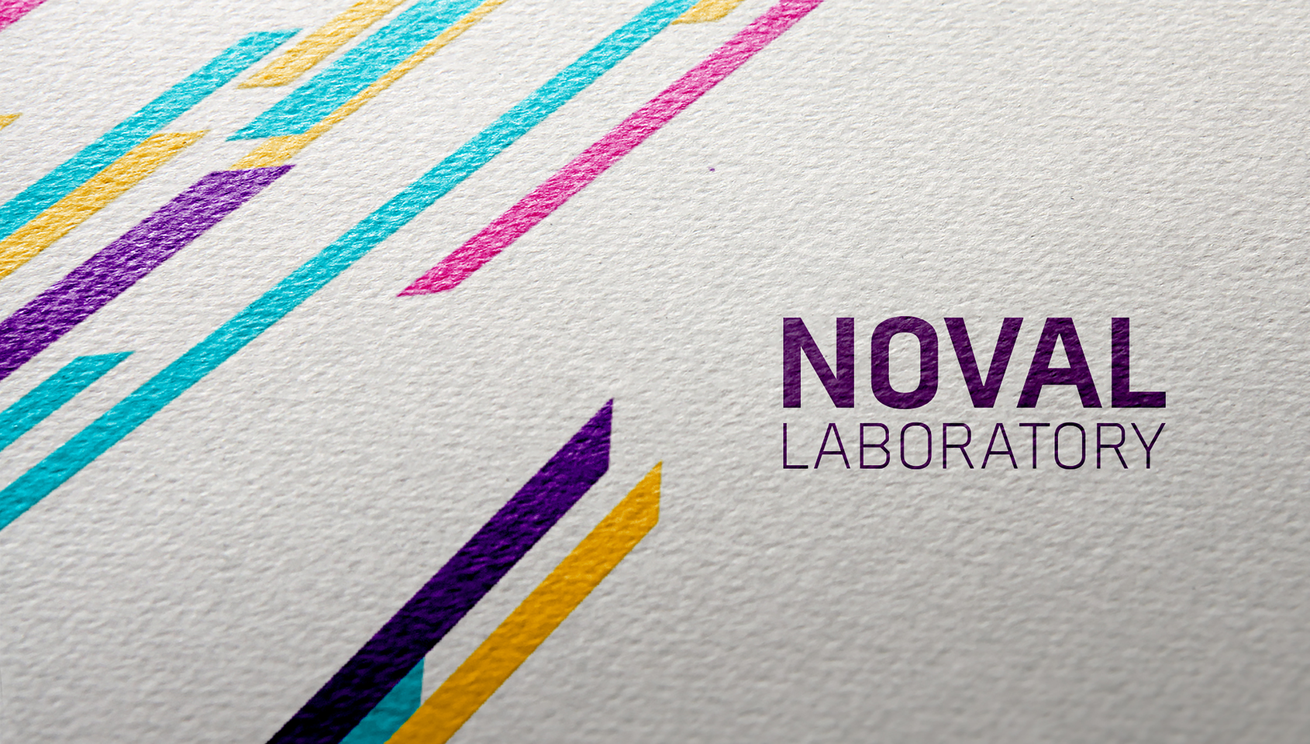 Noval Laboratory Article, Vatra Agency / Founder & CEO Gerton Bejo
