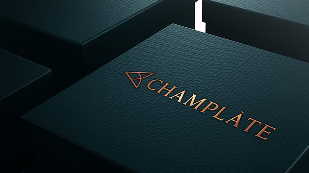 Champlate Article, Vatra Agency / Founder & CEO Gerton Bejo