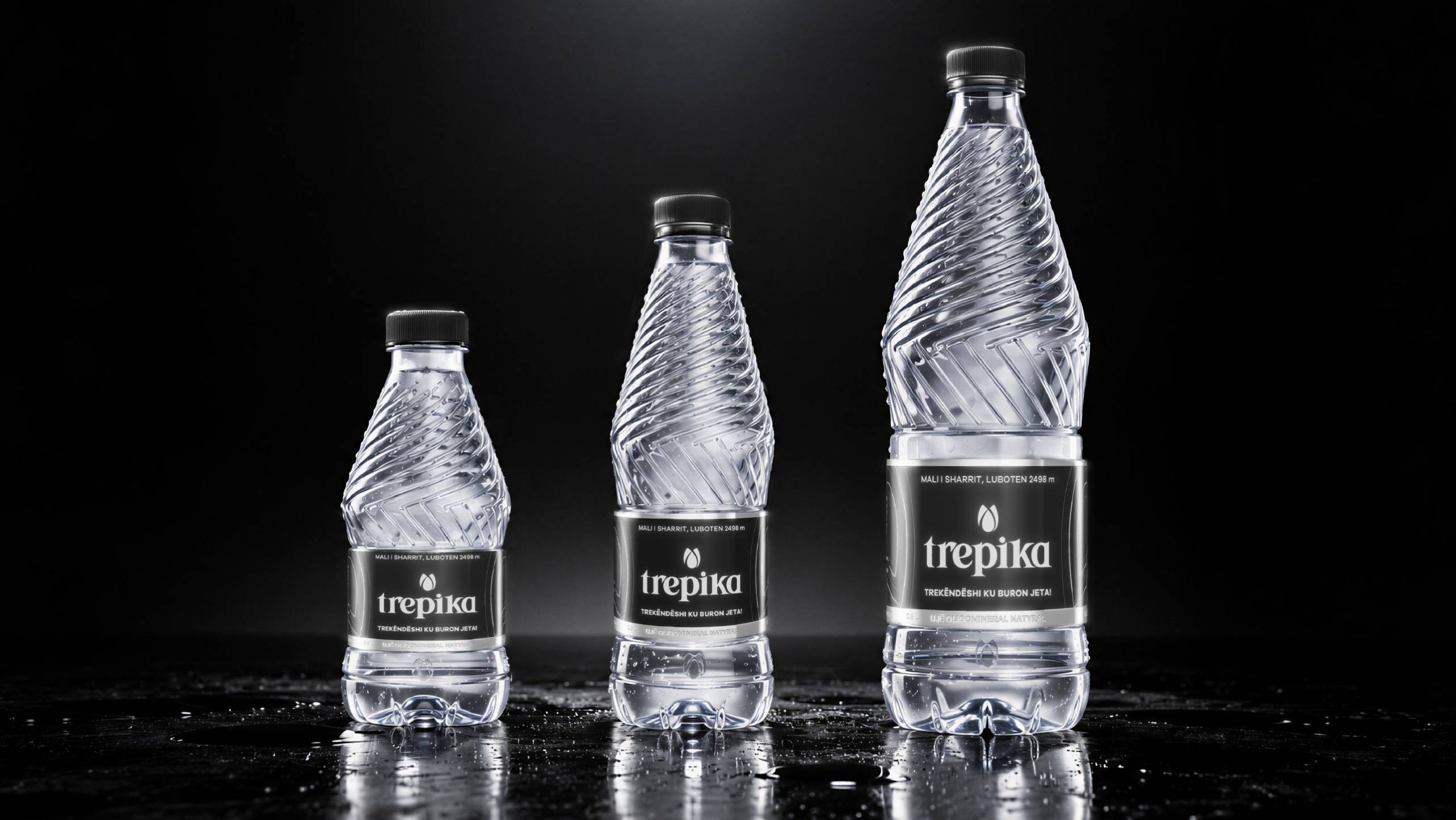 trepika web shishe branding naming